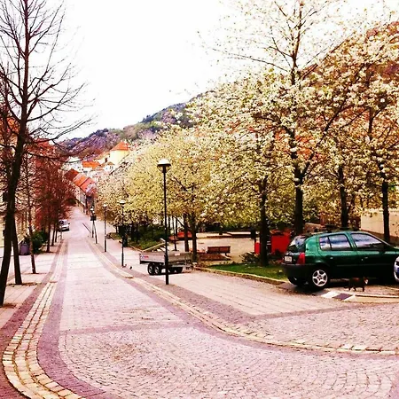 דירה A Cozy Traditional House In Bergen, With A View